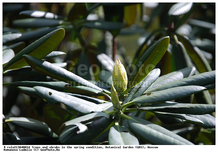 ���, ������������ ���, ������, ��������, ��������� ������ , ��������-�������������, ��������������, �����, ����������