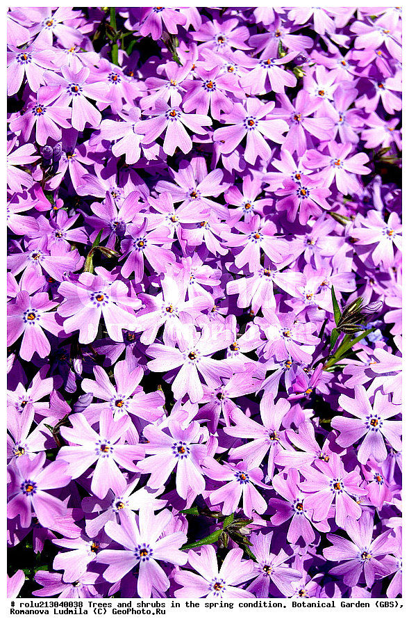 ���, ������������ ���, ������, ��������, ��������� ������ , ��������-�������������, ��������������, �����, ����������