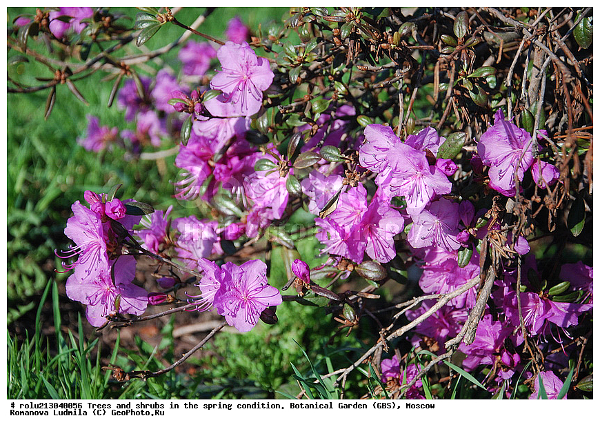 ���, ������������ ���, ������, ��������, ��������� ������ , ��������-�������������, ��������������, �����, ����������