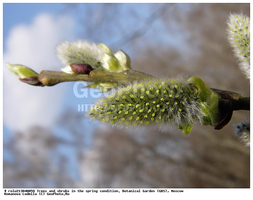 ���, ������������ ���, ������, ��������, ��������� ������ , ��������-�������������, ��������������, �����, ����������