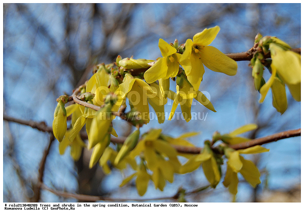 ���, ������������ ���, ������, ��������, ��������� ������ , ��������-�������������, ��������������, �����, ����������