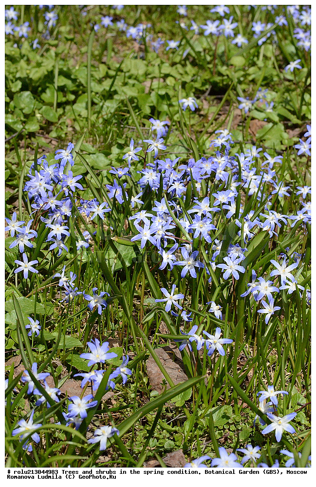 ������������ ���, ������, ��������, ��������������, �����, ���, ������ 