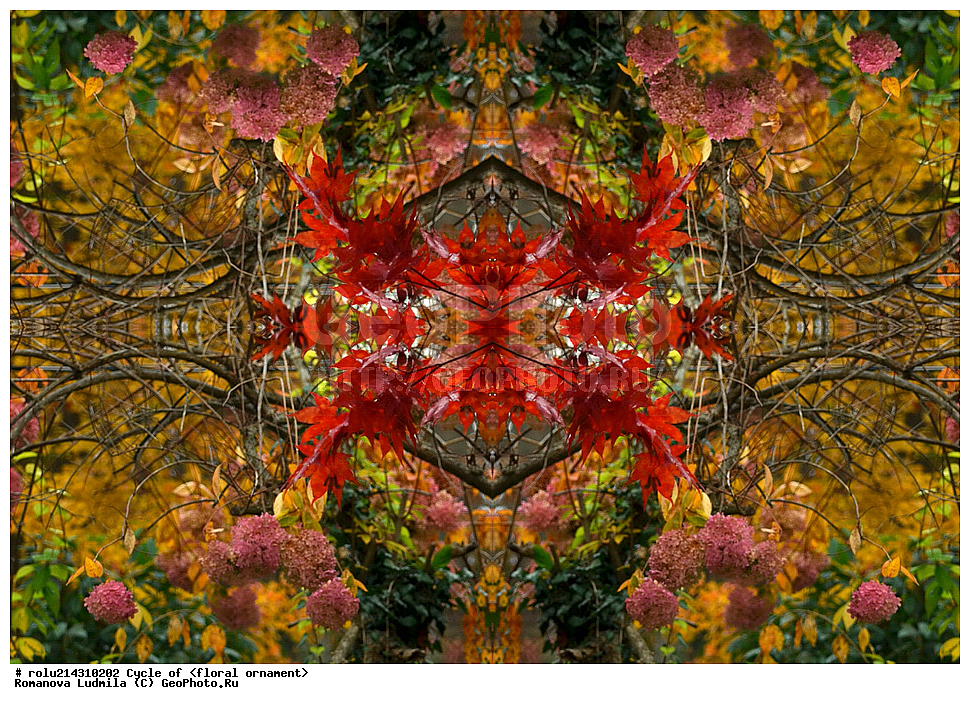 ��������, ������������, ����, �����, ������������������, ���������, ���������, ���������