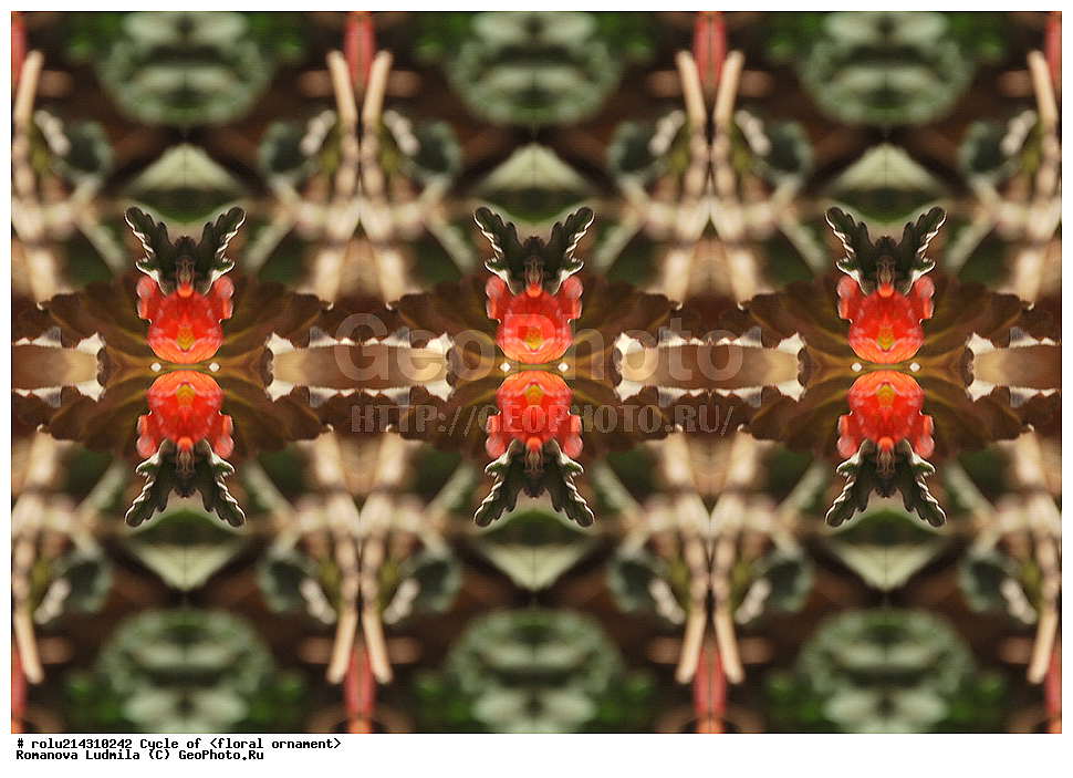 ��������, ������������, ����, �����, ������������������, ���������, ���������, ���������