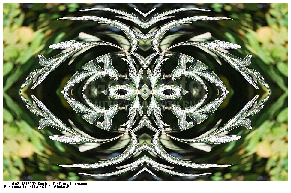 ��������, ������������, ����, �����, ������������������, ���������, ���������, ���������