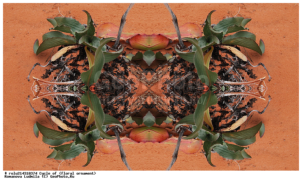 ��������, ������������, ����, �����, ������������������, ���������, ���������, ���������