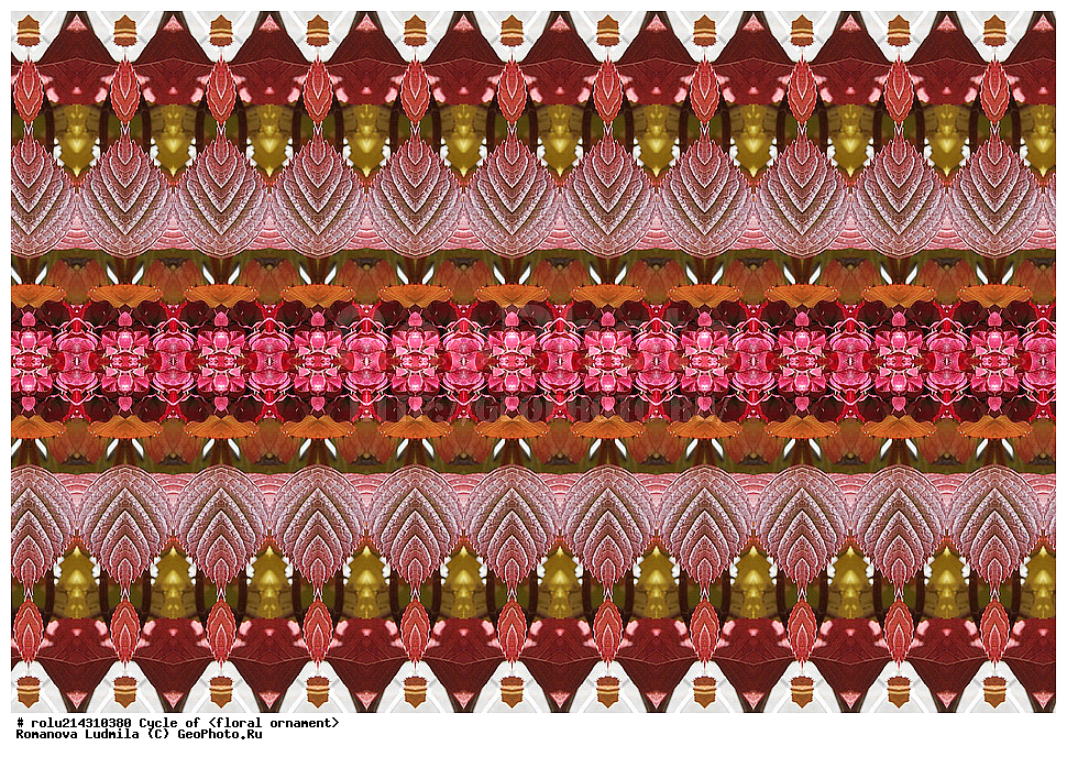 ��������, ������������, ����, �����, ������������������, ���������, ���������, ���������