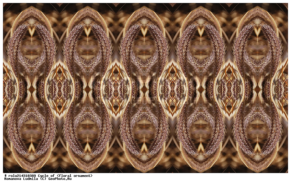 ��������, ������������, ����, �����, ������������������, ���������, ���������, ���������