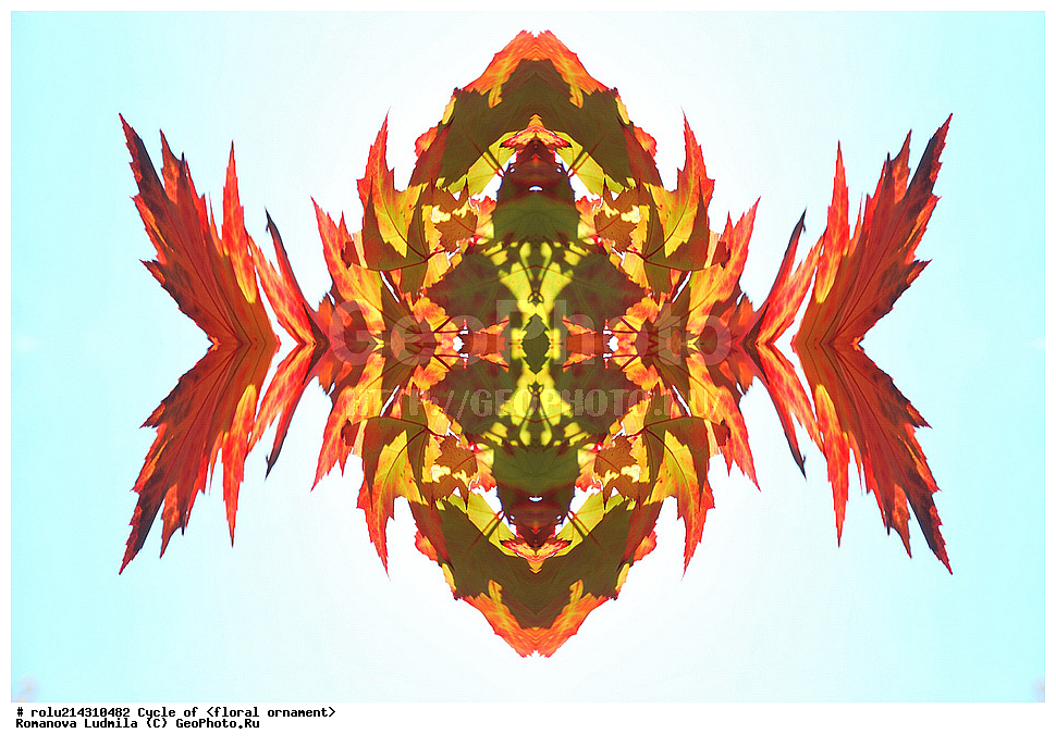 ��������, ������������, ����, �����, ������������������, ���������, ���������, ���������