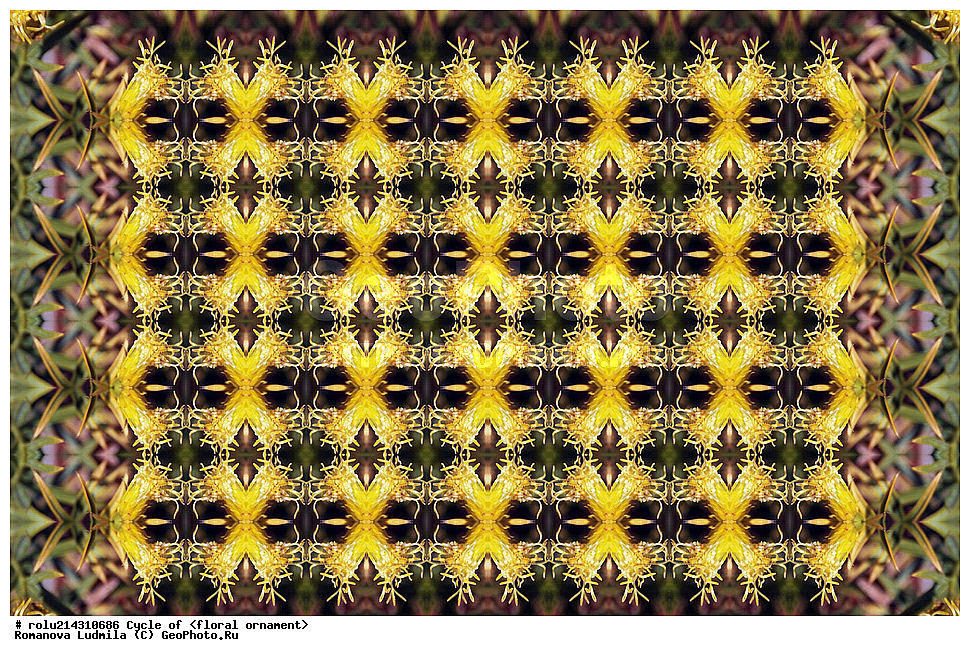 ��������, ������������, ����, �����, ������������������, ���������, ���������, ���������