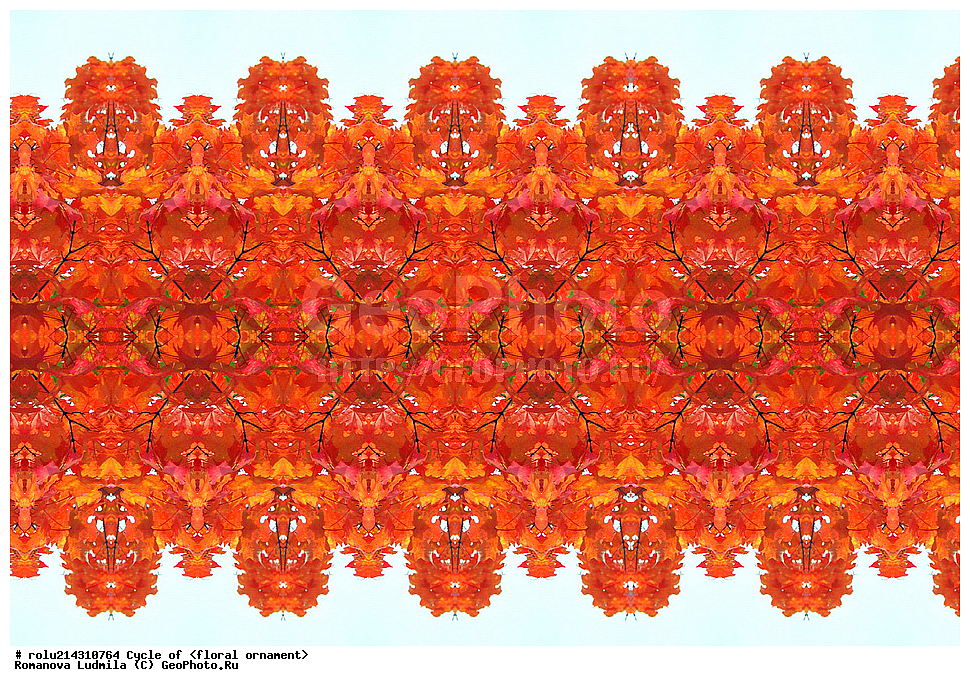 ��������, ������������, ����, �����, ������������������, ���������, ���������, ���������