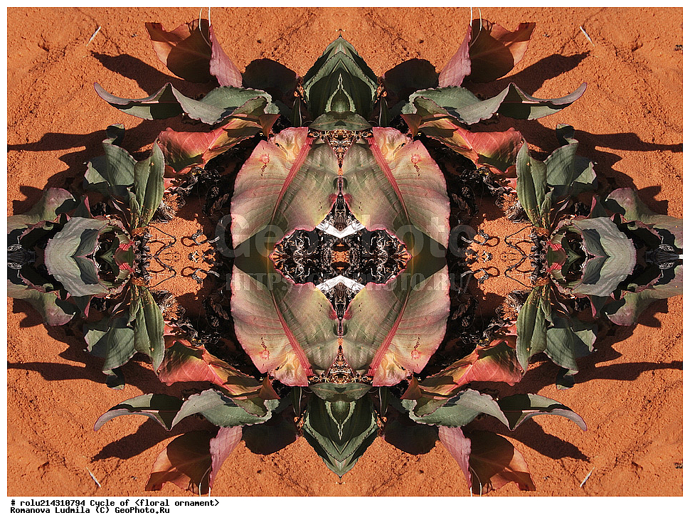 ��������, ������������, ����, �����, ������������������, ���������, ���������, ���������