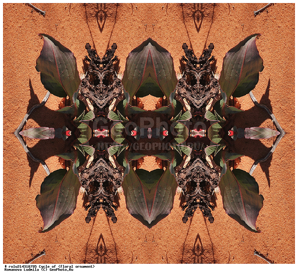 ��������, ������������, ����, �����, ������������������, ���������, ���������, ���������