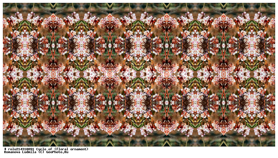 ��������, ������������, ����, �����, ������������������, ���������, ���������, ���������