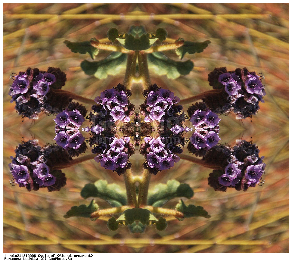 ��������, ������������, ����, �����, ������������������, ���������, ���������, ���������