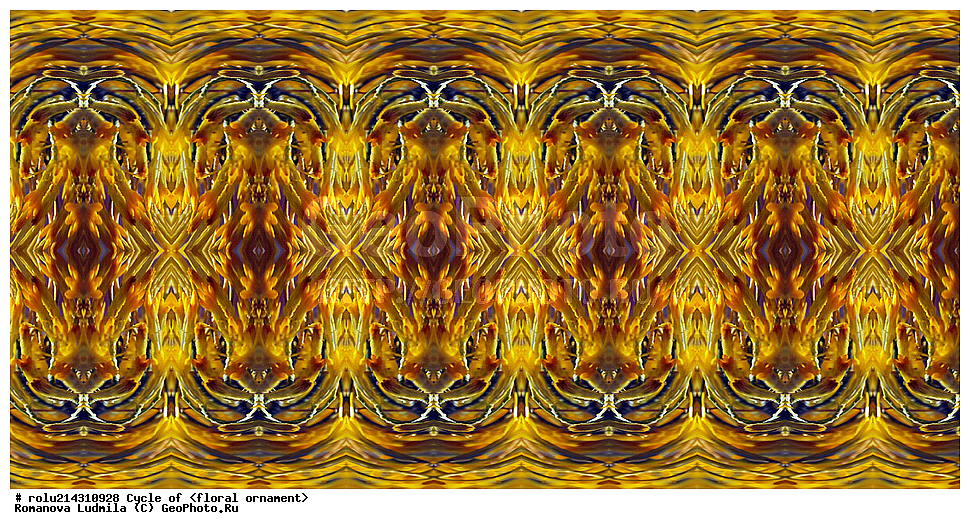 ��������, ������������, ����, �����, ������������������, ���������, ���������, ���������