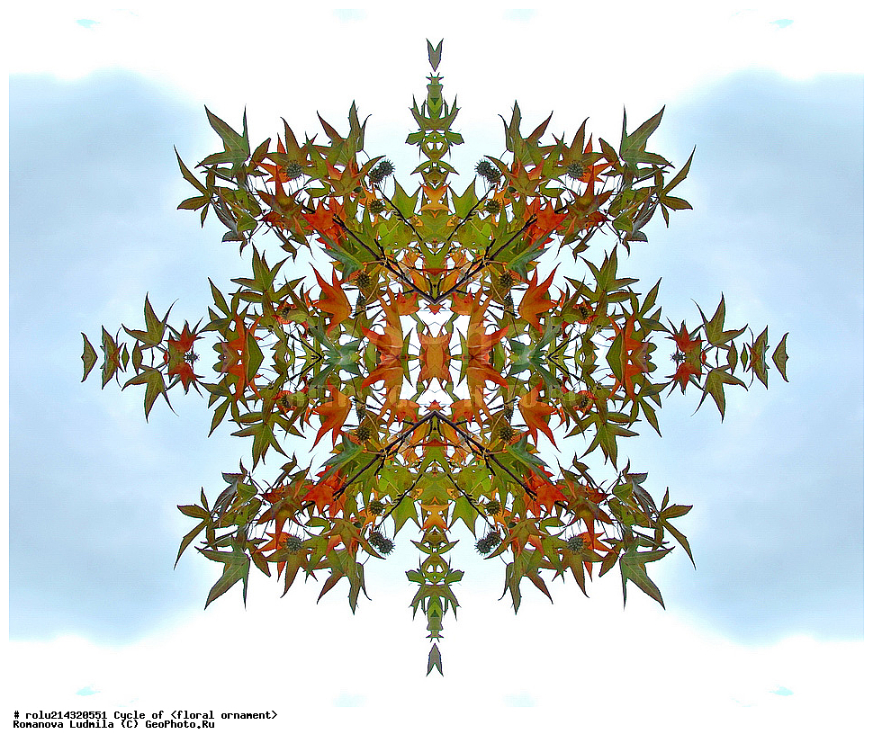 ��������, ������������, ����, �����, ������������������, ���������, ���������, ���������