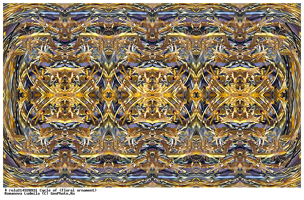 ��������, ������������, ����, �����, ������������������, ���������, ���������, ���������