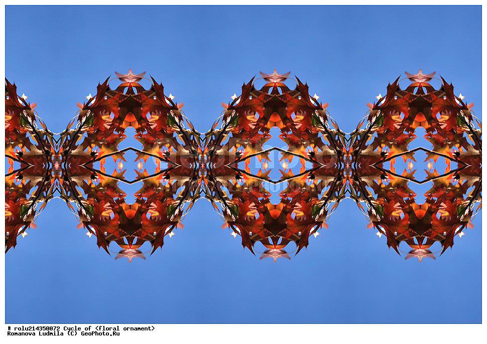 ��������, ������������, ����, �����, ������������������, ���������, ���������, ���������