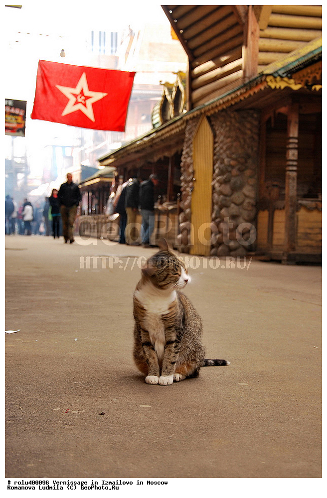 ��������, ���������, ������, �������