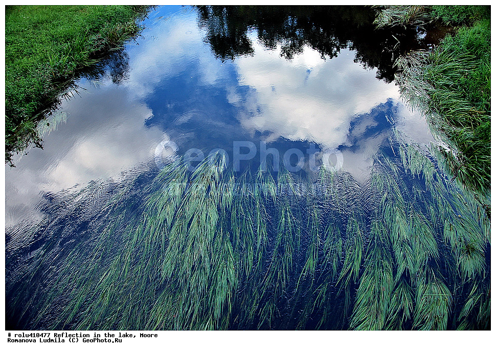 ���������, �����, �����, ��������