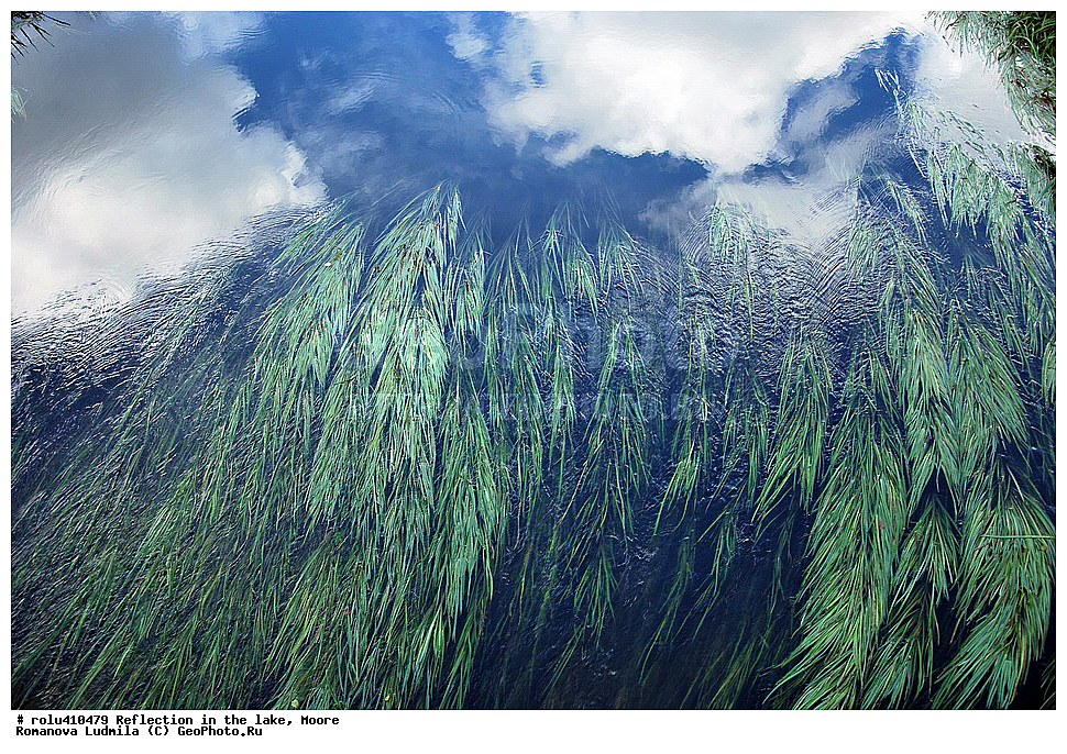 ���������, �����, �����, ��������