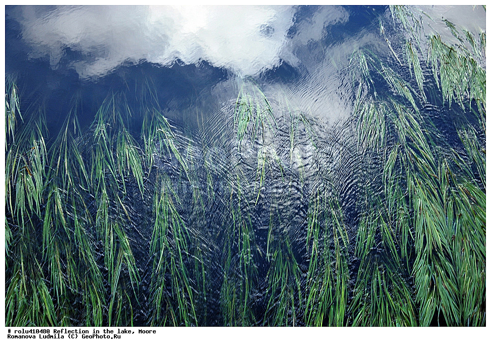 ���������, �����, �����, ��������