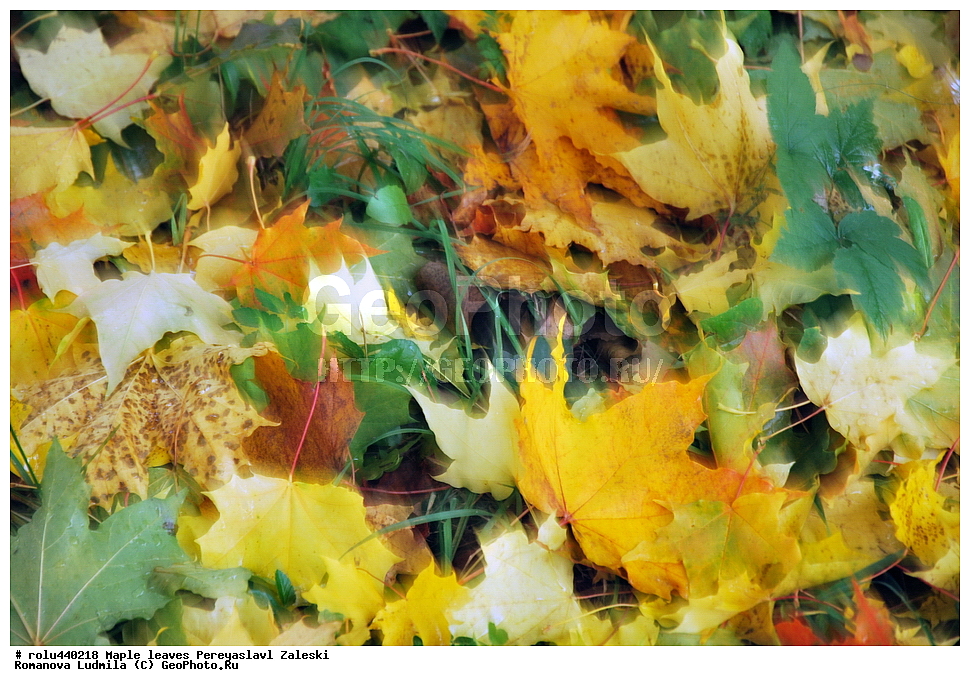 ����, ����, ����������-���������, ��������