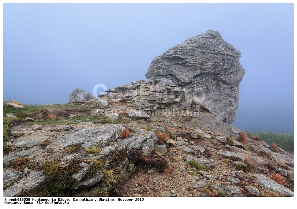 2015, �������, �������, �������, ������������ ������, ���������, ����, ������, ����������, �������, ����������, �����, �����, ����������, �����������, �����, ������� ������, �����, ������ �����, �����, �������, �����, ���, �����