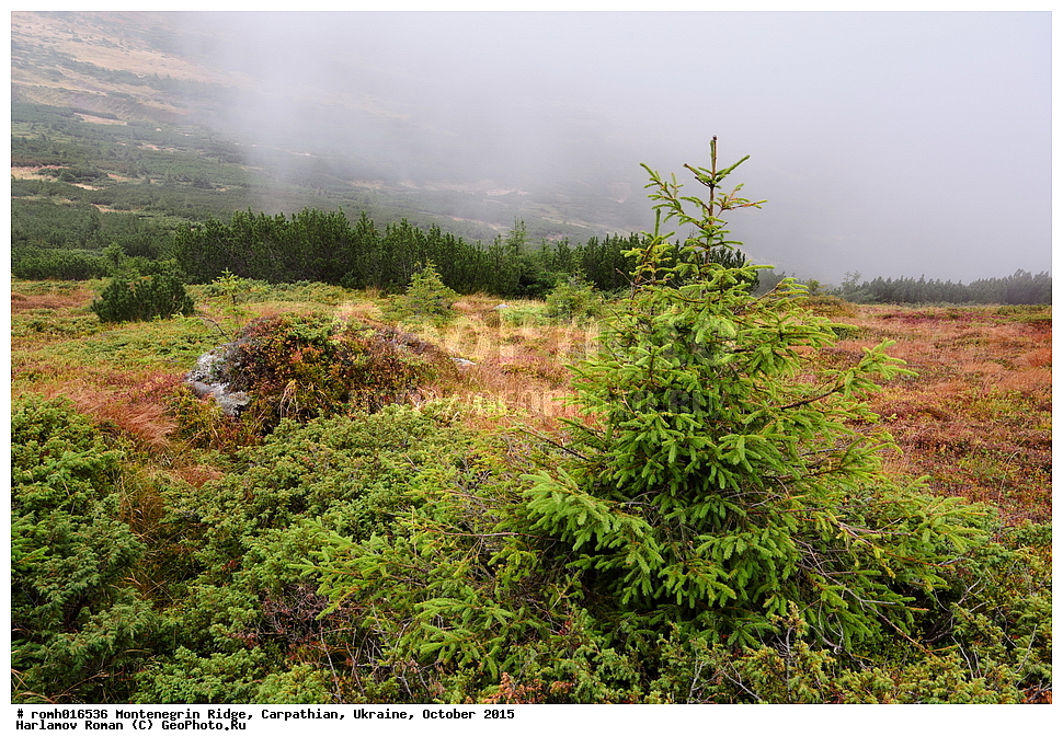 2015, �������, �������, �������, ������������ ������, ���������, ����, ������, ����������, �������, ����������, �����, �����, ����������, �����������, �����, �����, ����, ���, ���, ������, �������, �������, ����, ������� ������, ������ �����, �����, ��������������, ������, ���, �����