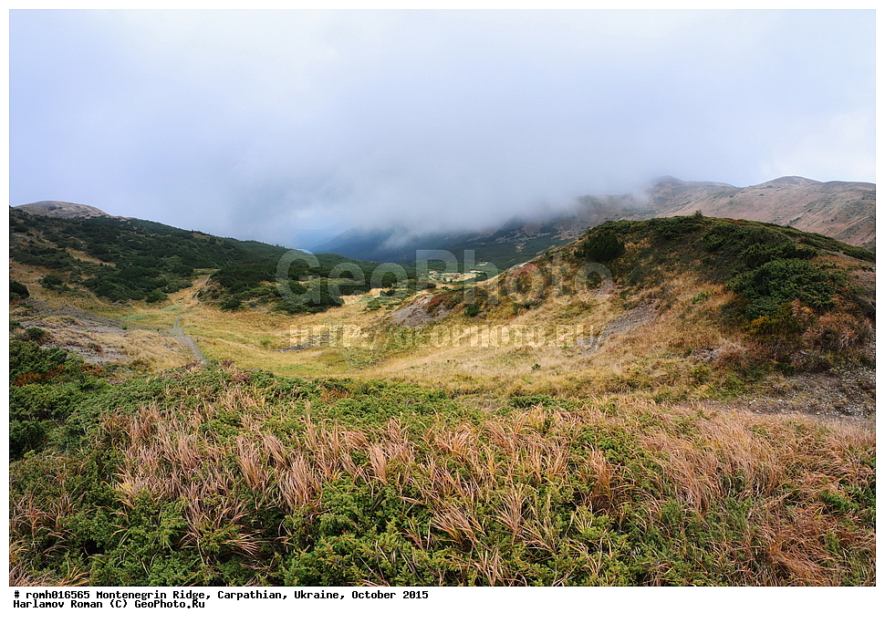 2015, �������, �������, �������, ������������ ������, ���������, ����, ������, ����������, �������, ����������, �����, �����, ����������, �����������, �����, �����, �����, ��������������, ����, �����, ������ �����, �����, ���, �����