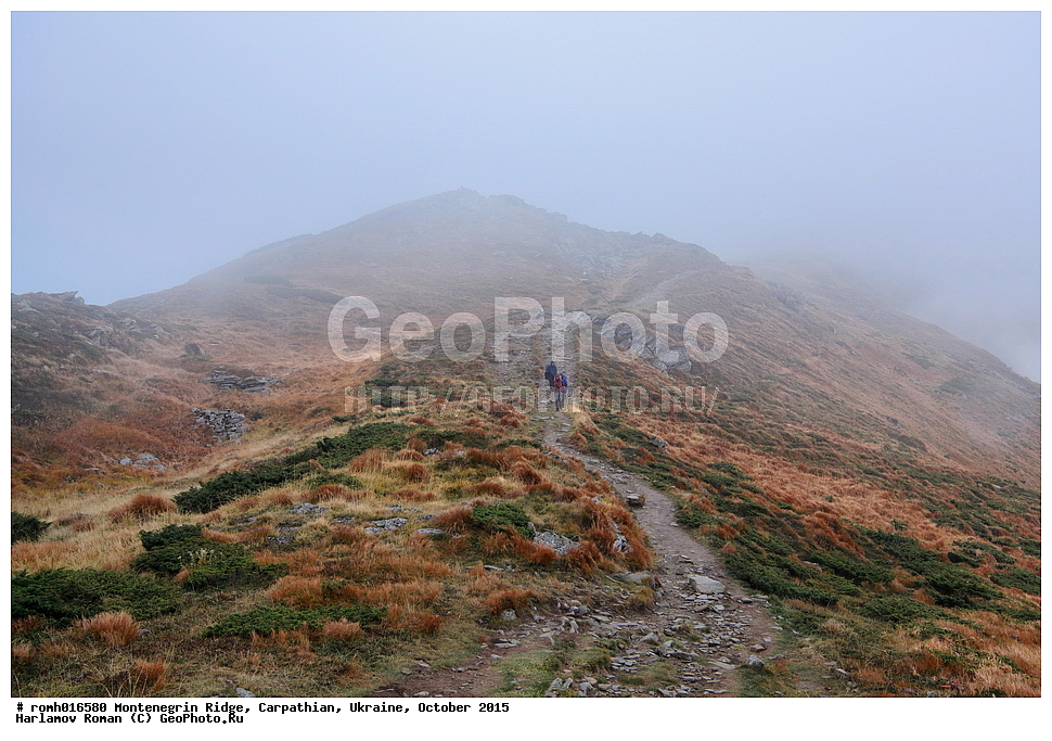 2015, �������, �������, �������, ������������ ������, ���������, ����, ������, ����������, �������, ����������, �����, �����, ����������, �����������, �����, ����, ������, ����, �����, ���, �����