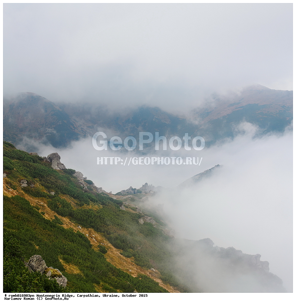 2015, �������, �������, �������, ������������ ������, ���������, ����, ������, ����������, �������, ����������, �����, �����, ����������, �����������, �����, ������� ������, �����, ������ �����, �����, �����, ������, ���, �����