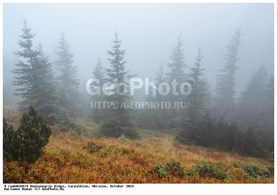 2015, �������, �������, �������, ������������ ������, ���������, ����, ������, ����������, �������, ����������, �����, �����, ����������, �����������, �����, �����, ����, ���, ���, ������, �������, �������, ����, ������� ������, ������ �����, �����, ��������������, ������, ���, �����