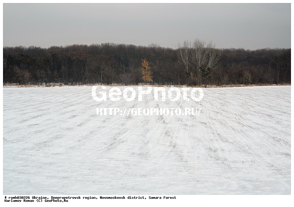 �������, ���������������� �������, �������������� �����, ��������� ���, ���, ����, ����, ��������, �����, ����, �����, ������, �����, ������, �������, ����, ����, �� �������� �������, ����� , ������, ������, �������