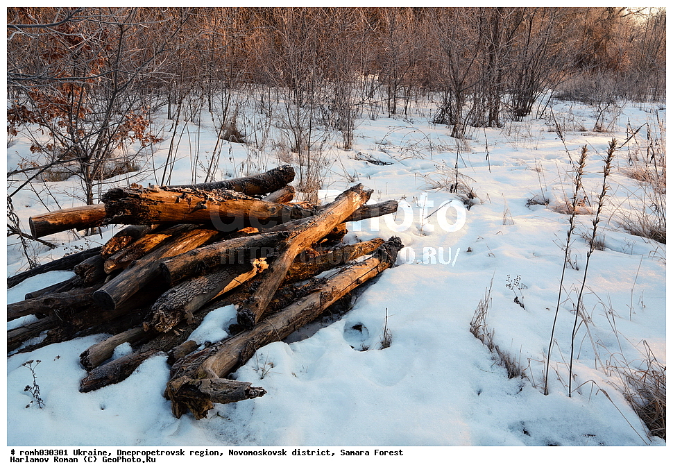 �������, ���������������� �����,�������������� �����, ��������� ���, ���, ����, �����, ���������, ����, ��������� ����, �������, ��������, �������������, ��������, ����, ������, ������, �������, ������ , �����, ����, ����������, ����������, ��������, ���������� �����, �������, ���������� ������, ��������������, �����, ���������, �� �����, ������� �����, �����