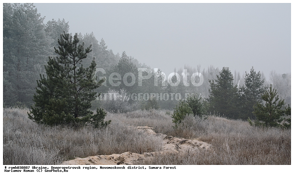 �������, ���������������� �����,�������������� �����, ��������� ���, ���, ����, ����, �����, ���, �����, �����, �����, �������, ����, ������, �����, �����, ��������, �������, �������, ������ , ����� �������, ������, ������, ����, �����, �����, �����, ����, �����, ������, �����������, ������, ����
