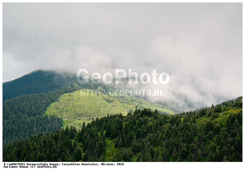 ������������ ������, �������, �������, 2016, ������, ����, �����, �������, ���, �������, ��������, ������������ ����, �������, �����, ���, ��������, ������, �����������, �������������, ���, �������, ������, �����, �����������, �����, ������