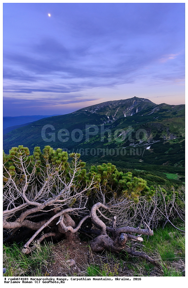 ������������ ������, �������, �������, 2016, ������, ����, �����, �������, ����, ����, �������, ����, �����, ���������� �����, �����, �����������, �����, ������, ���, ������, �����������, �������������