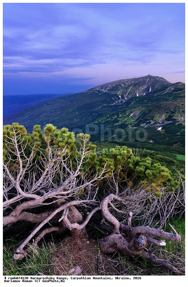 ������������ ������, �������, �������, 2016, ������, ����, �����, �������, ����, �������, ����, �����, ���������� �����, �����, �����������, �����, ������, ���, ������, �����������, �������������