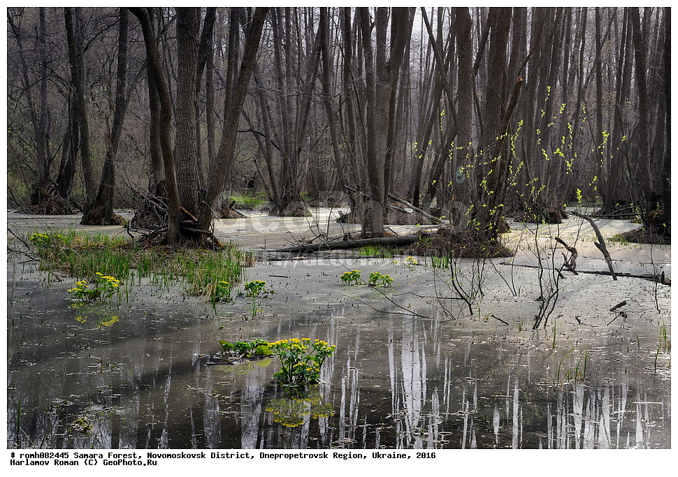 ��������� ���, �������������� �����, ���������������� �������, �������, 2016, ���, �������, �����, �������, �������, ������, ����, ������, ��������, �����, ���������, �����, ��������� ����, ��������, ����