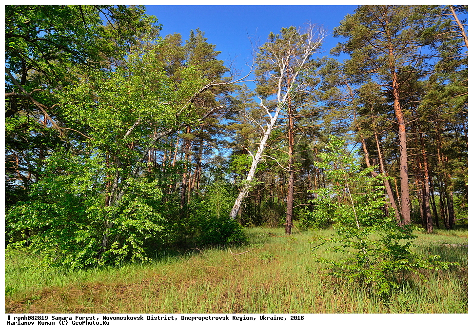 ��������� ���, �������������� �����, ���������������� �������, �������, 2016, ���, ������, ����, ��������, ����, �����, �������, �����, ��������, ������, ������, �������, �����, �������, �����, ����