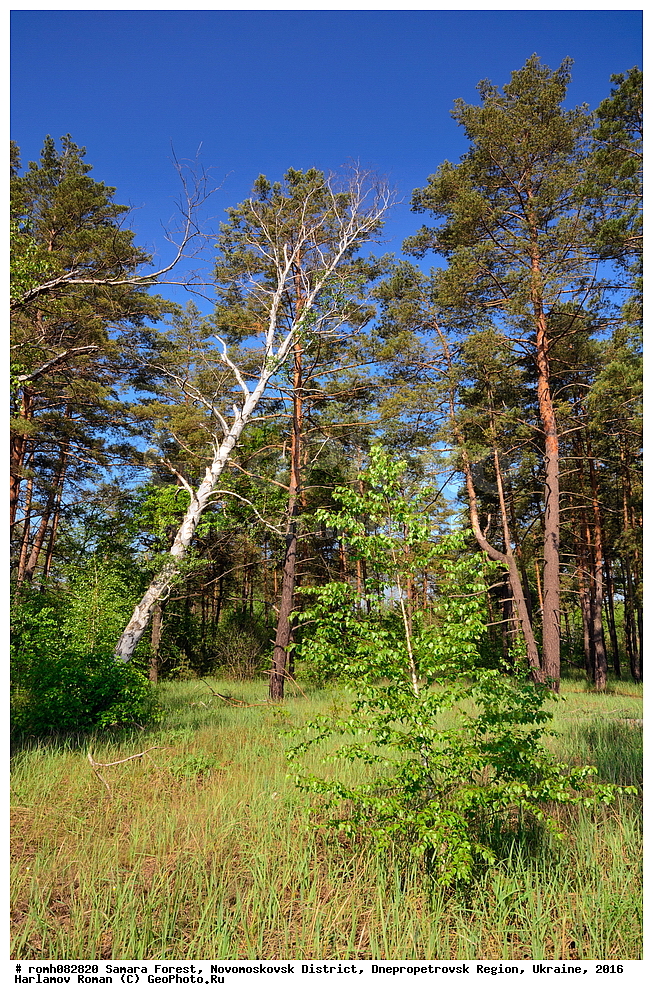 ��������� ���, �������������� �����, ���������������� �������, �������, 2016, ���, ������, ����, ��������, ����, �����, �������, �����, ��������, ������, ������, �������, �����, �������, �����, ����