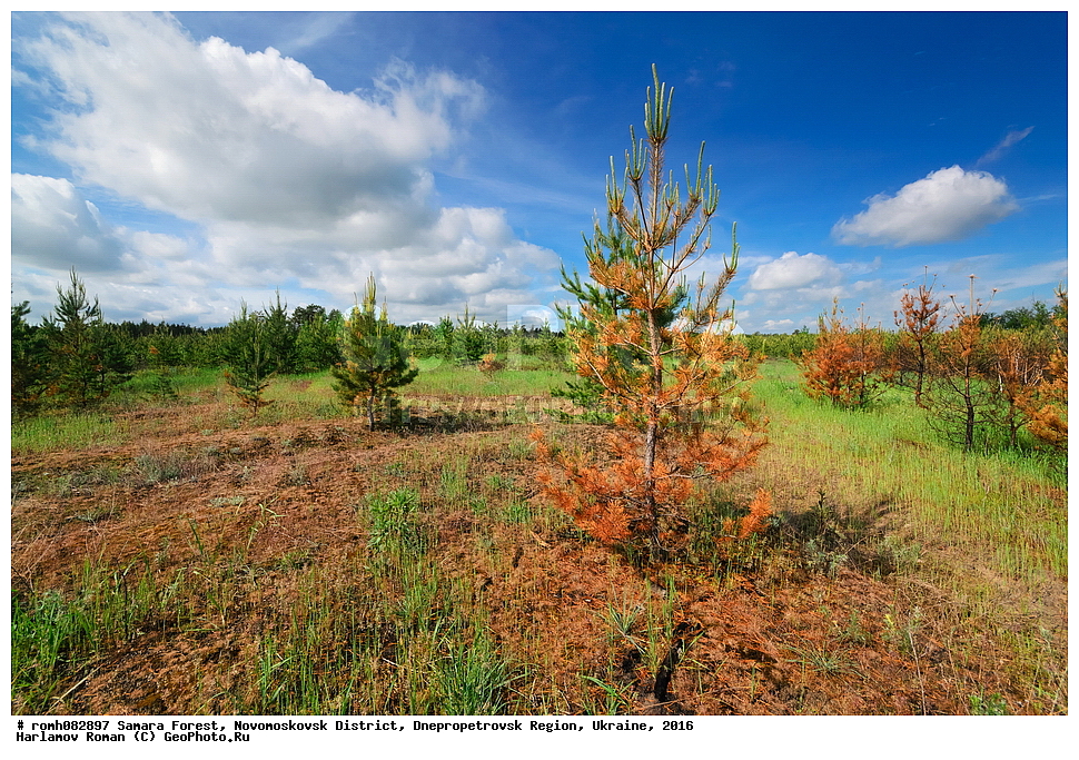 ��������� ���, �������������� �����, ���������������� �������, �������, 2016, ���, ����, �����, ����, ��������, ����, ������, �������, ����, ����, ���, �����, �����, �������, �������, ������, �������