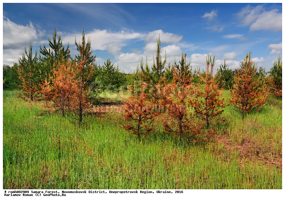 ��������� ���, �������������� �����, ���������������� �������, �������, 2016, ���, ����, �����, ����, ��������, ����, ������, �������, ����, ����, ���, �����, �����, �������, �������, ������, �������