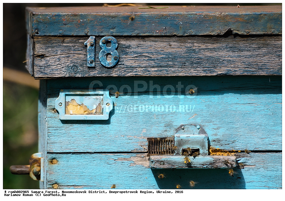 ��������� ���, �������������� �����, ���������������� �������, �������, 2016, ���, ����, ����, ��������, ������, �����, �����, ��, ��������, ����, �����