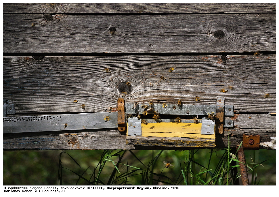 ��������� ���, �������������� �����, ���������������� �������, �������, 2016, ���, ����, ����, ��������, ������, �����, �����, ��, ��������, ����, �����