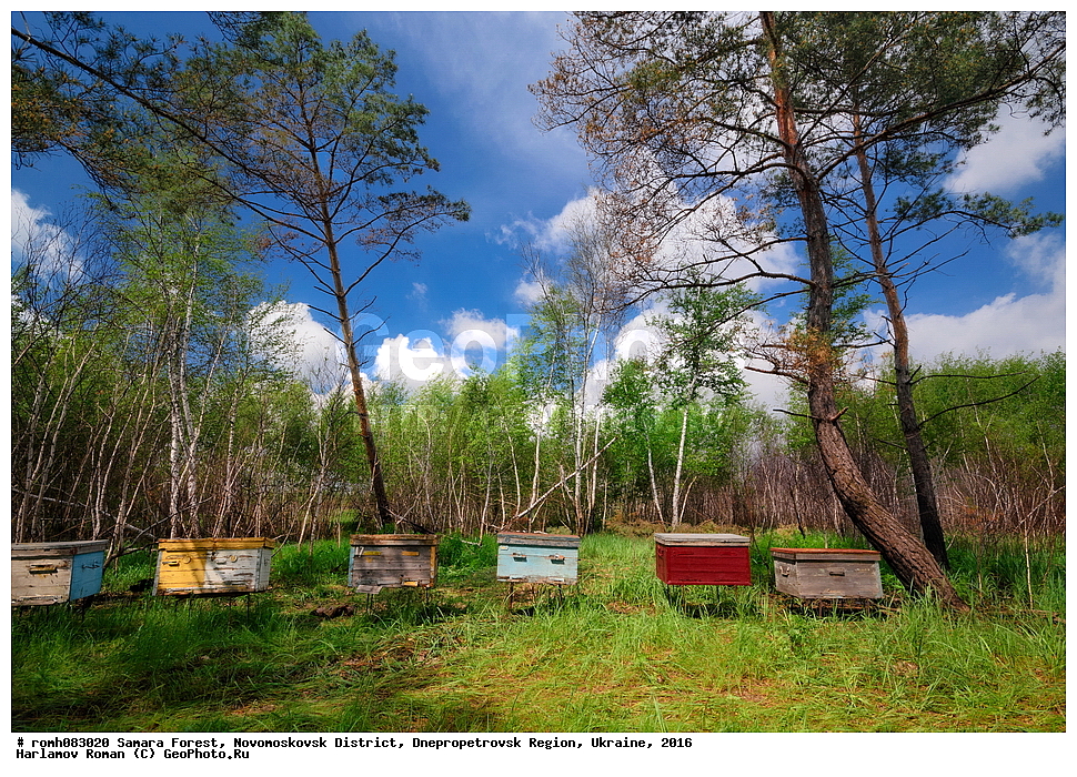 ��������� ���, �������������� �����, ���������������� �������, �������, 2016, ���, ����, ����, ��������, �������, �����, ������, �����, �����, ��, ��������, ����