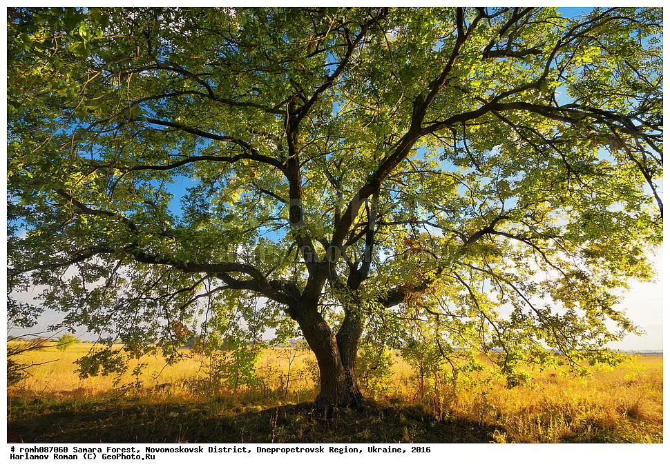 ��������� ���, �������������� �����, ���������������� �������, �������, 2016, ���, �����, �����, ��������� ����, �����, ������, ���, �����, �����, ������, �����, ������, �������, �����, ���, �����, ��������, ��������