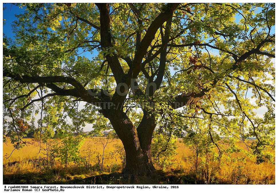 ��������� ���, �������������� �����, ���������������� �������, �������, 2016, ���, �����, �����, ��������� ����, �����, ������, ���, �����, �����, ������, �����, ������, �������, �����, ���, �����, ��������, ��������